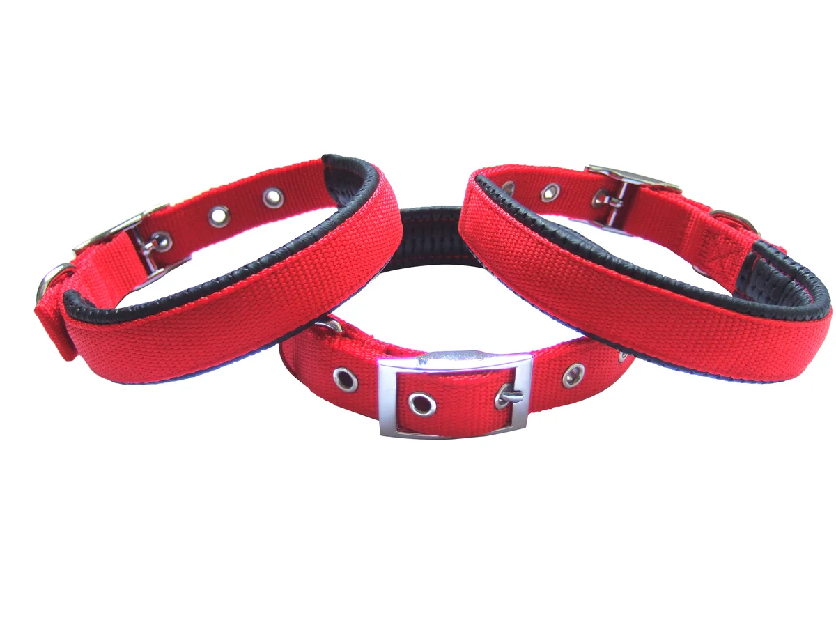 Cat collar breakaway bell factory direct quick-release safety kitten collar