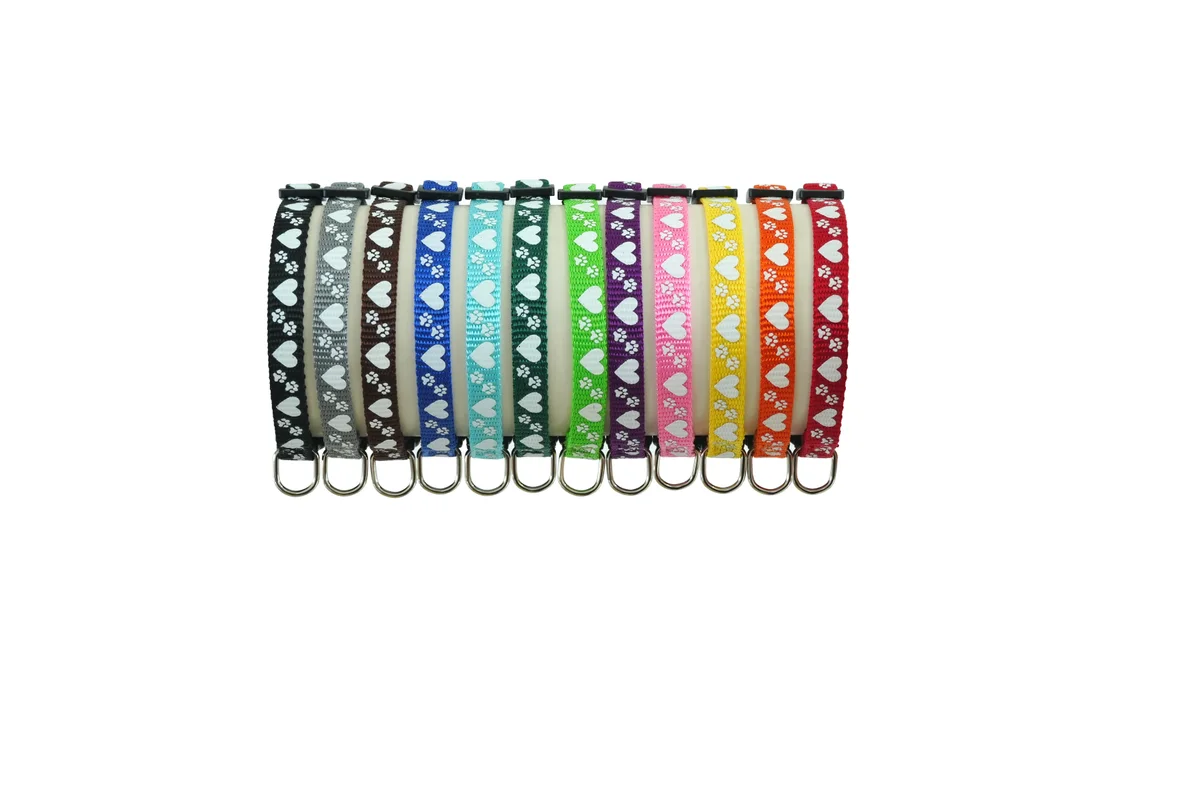 Padded neoprene dog collar OEM waterproof odor-free all-weather pet collar