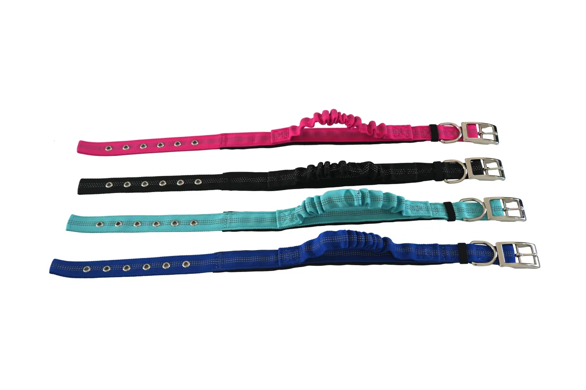Reflective dog collar manufacturer low-light safety collar with soft neoprene lining