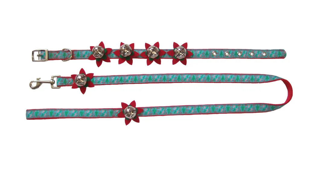 Matching dog collar and leash set wholesale coordinated gift box package