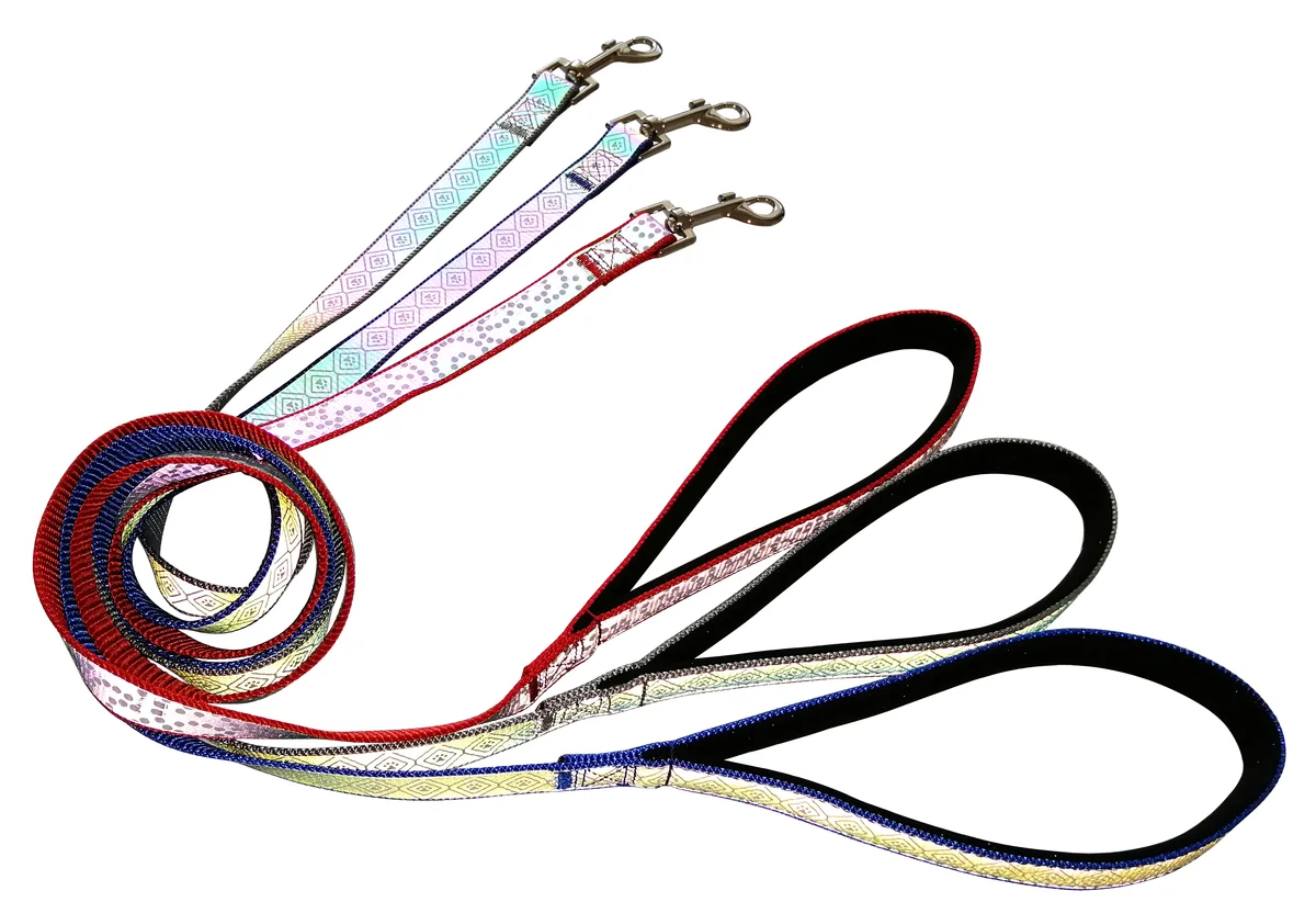Padded traffic handle dog leash hands-free running bungee lead with adjustable waist belt
