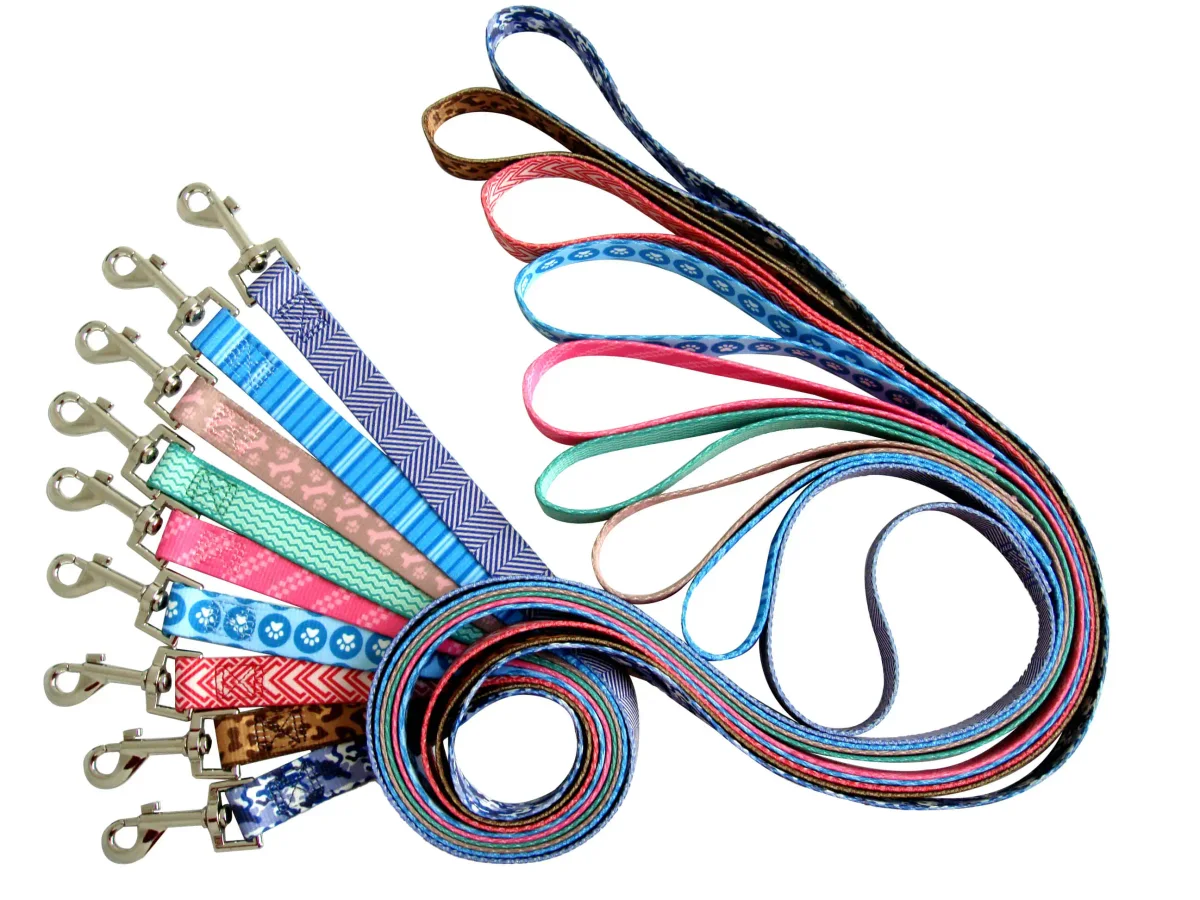 Wholesale dog leashes supplier classic flat nylon walking lead factory direct